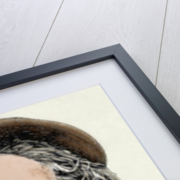 Daudet, Alphonse (1840-1897). French writer. Colored engraving by Anonymous