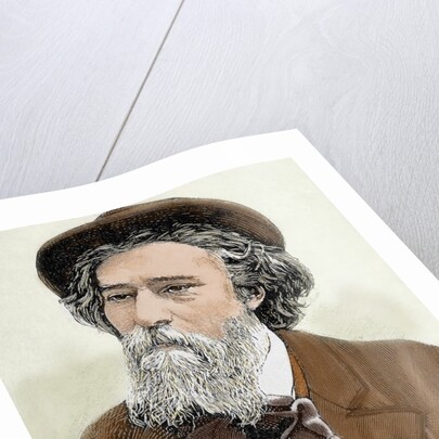 Daudet, Alphonse (1840-1897). French writer. Colored engraving by Anonymous