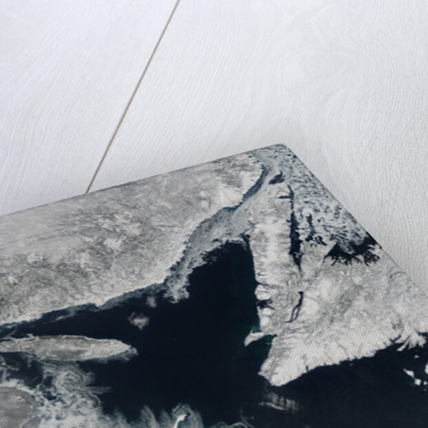 Sea Ice in the Gulf of St. Lawrence by Anonymous