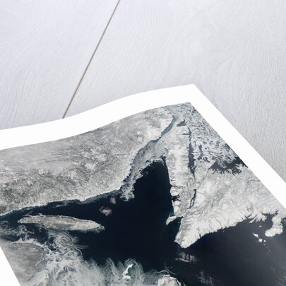 Sea Ice in the Gulf of St. Lawrence by Anonymous