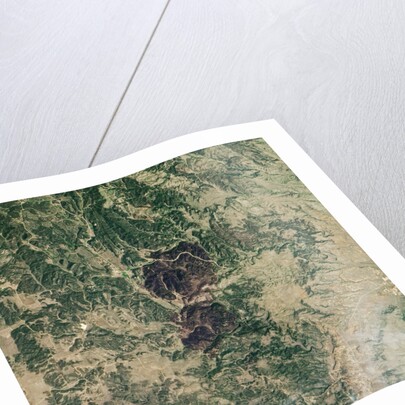 Myrtle Fire in South Dakota by Anonymous