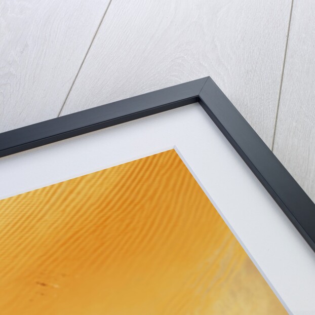 Linear Sand Dunes in the Empty Quarter, Arabian Peninsula by Anonymous