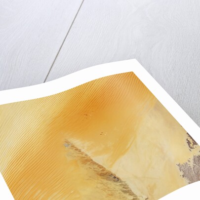 Linear Sand Dunes in the Empty Quarter, Arabian Peninsula by Anonymous