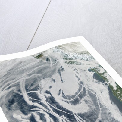 Ship Tracks off North America by Anonymous
