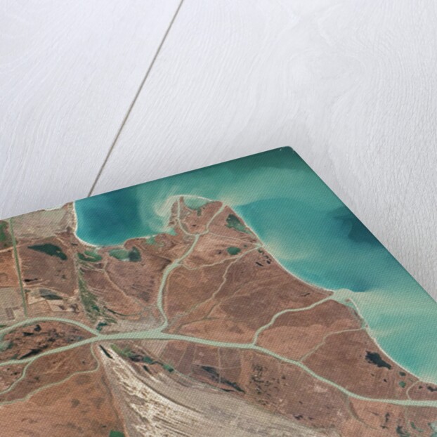 Danube River Delta by Anonymous