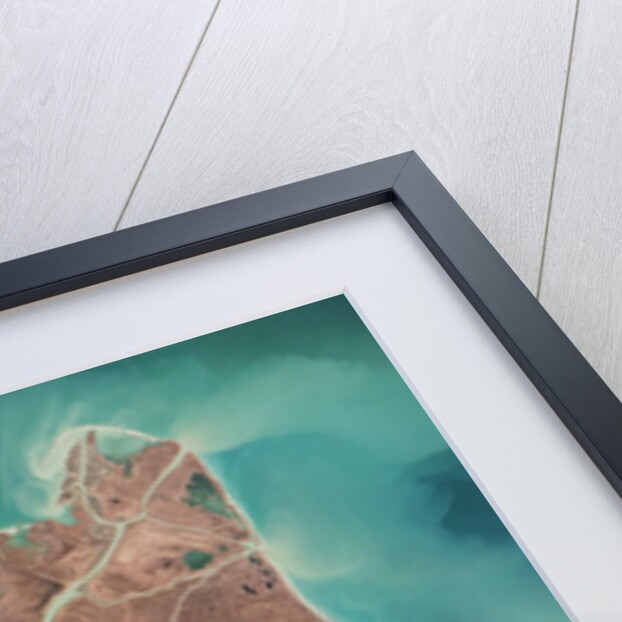 Danube River Delta by Anonymous