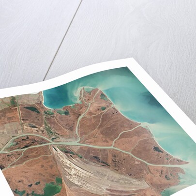 Danube River Delta by Anonymous