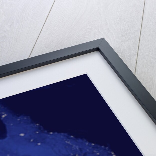 Composite view showing night lights and wildfires in Australia by Anonymous