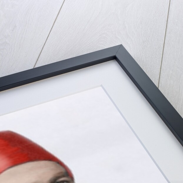 Muhammad Ali Pasha (b. 1829). General in chief of the Turkish army in Bulgaria by Anonymous