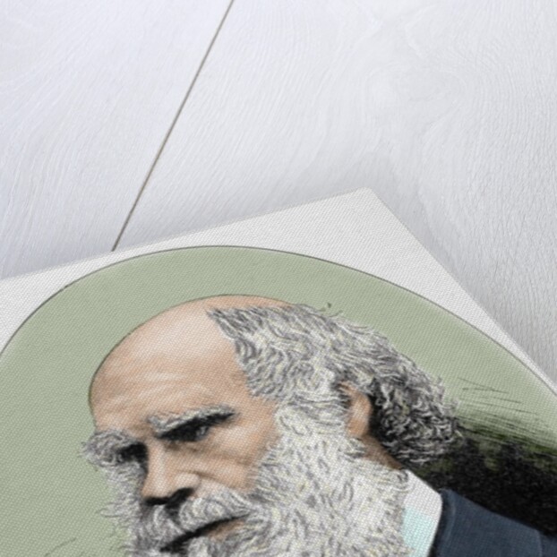 Darwin, Charles Robert (1809-1882) British naturalist. Colored engraving by Anonymous