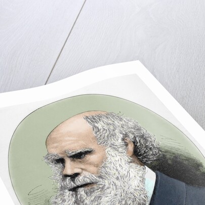 Darwin, Charles Robert (1809-1882) British naturalist. Colored engraving by Anonymous