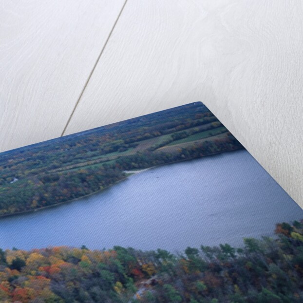 Aerial view of river and forest, Pittsfield, Massachusetts, USA by Anonymous