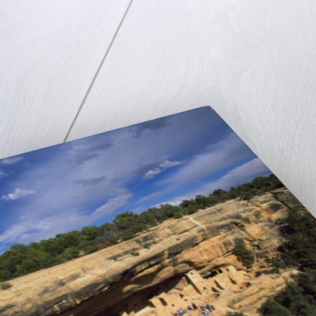 View of Cliff Palace, Mesa Verde National Park, Colorado, USA by Anonymous