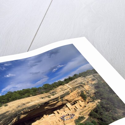 View of Cliff Palace, Mesa Verde National Park, Colorado, USA by Anonymous
