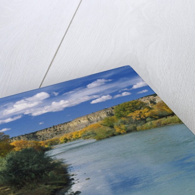 View of Animas River, New Mexico, USA by Anonymous