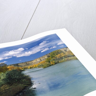 View of Animas River, New Mexico, USA by Anonymous