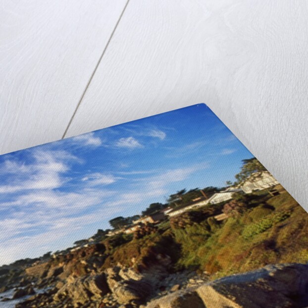 View of coastline, Pacific Grove, Monterey, California, USA by Anonymous