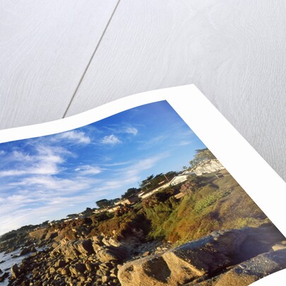 View of coastline, Pacific Grove, Monterey, California, USA by Anonymous