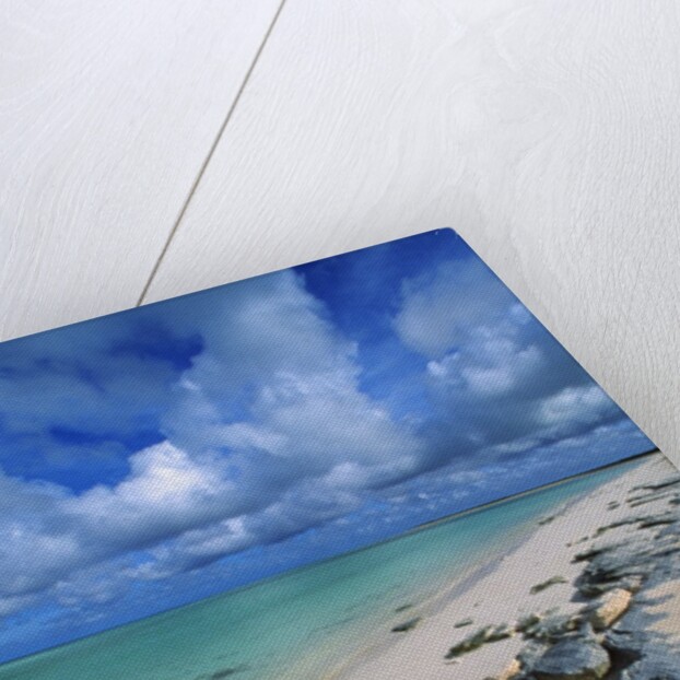 Beach, Turks and Caicos Islands, UK by Anonymous