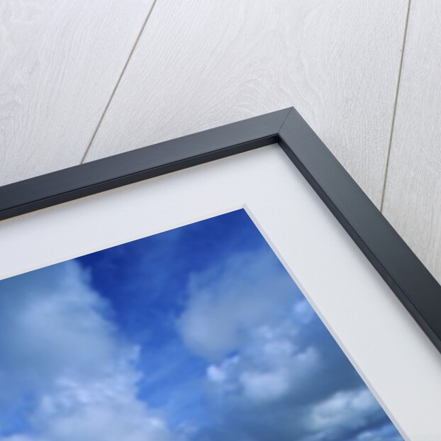 Beach, Turks and Caicos Islands, UK by Anonymous