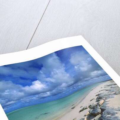 Beach, Turks and Caicos Islands, UK by Anonymous