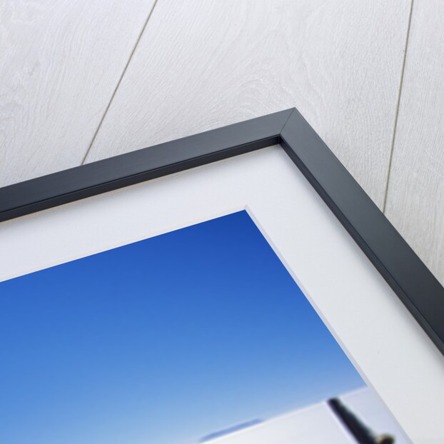 Salar de Uyuni and Cactuses in Isla de Pescado, Bolivia by Anonymous