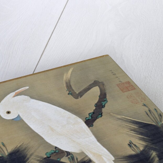 White Cockatoo on a Pine Branch by Ito Jakuchu