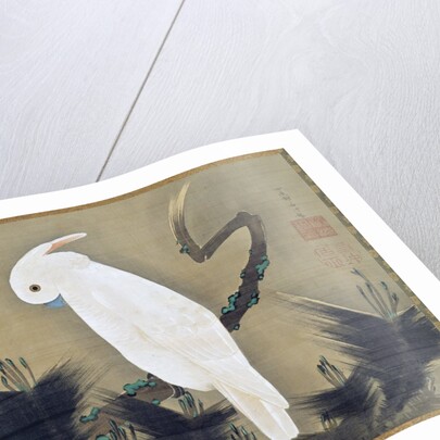 White Cockatoo on a Pine Branch by Ito Jakuchu
