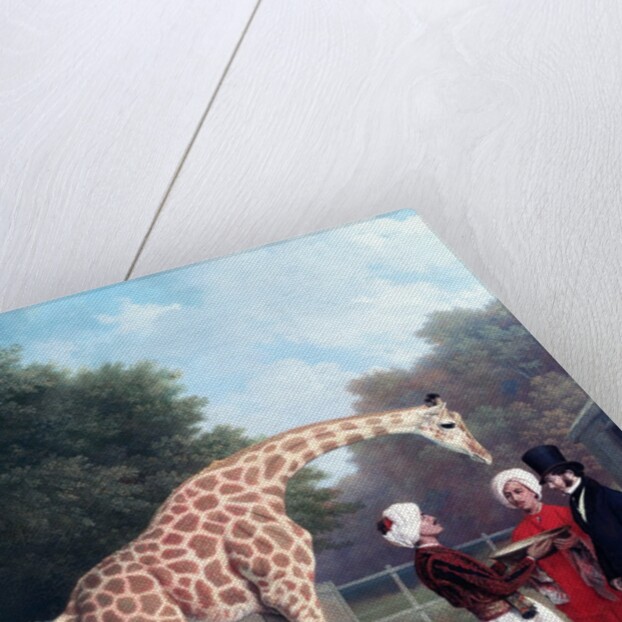 Nubian Giraffe by Jacques-Laurent Agasse