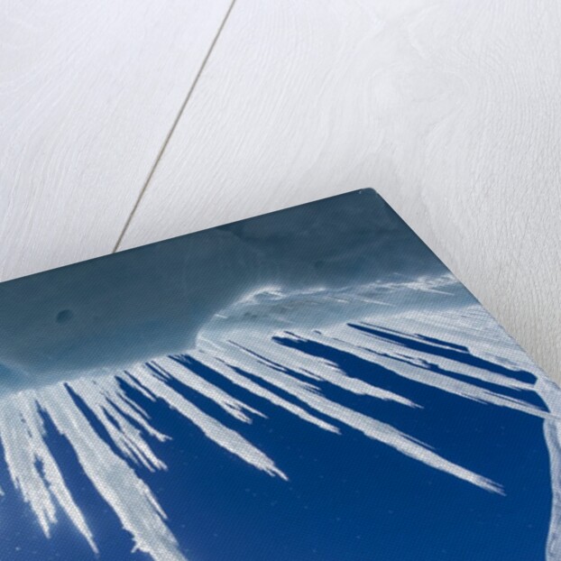 Icicles in Glacier Snow Cave, Antarctic Peninsula by Anonymous