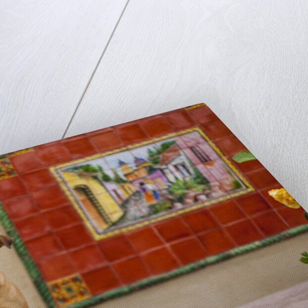 Pet Dog, Baja, Mexico by Anonymous