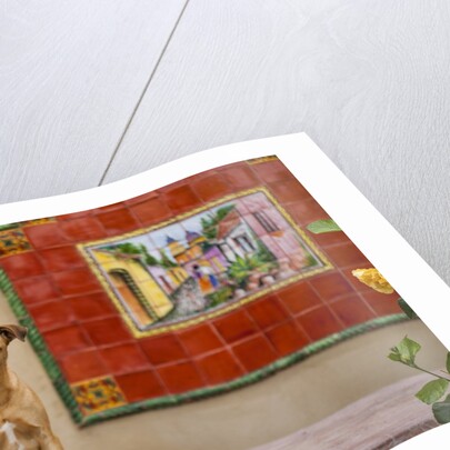 Pet Dog, Baja, Mexico by Anonymous