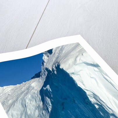 Iceberg, South Shetland Islands, Antarctica by Anonymous