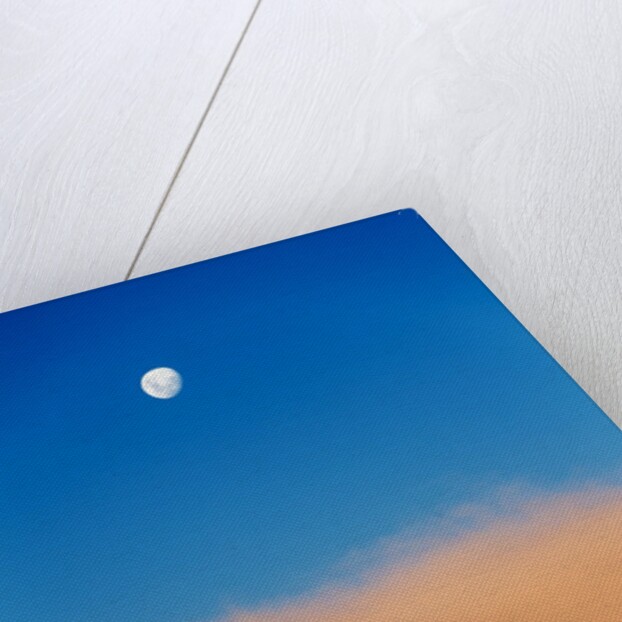 Moon and Livingstone Island, Antarctica by Anonymous