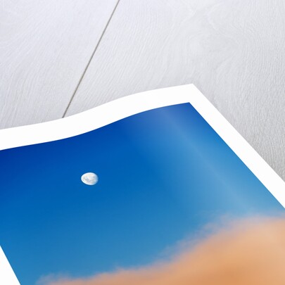 Moon and Livingstone Island, Antarctica by Anonymous
