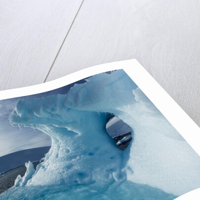 Iceberg, Gerlache Strait, Antarctica by Anonymous