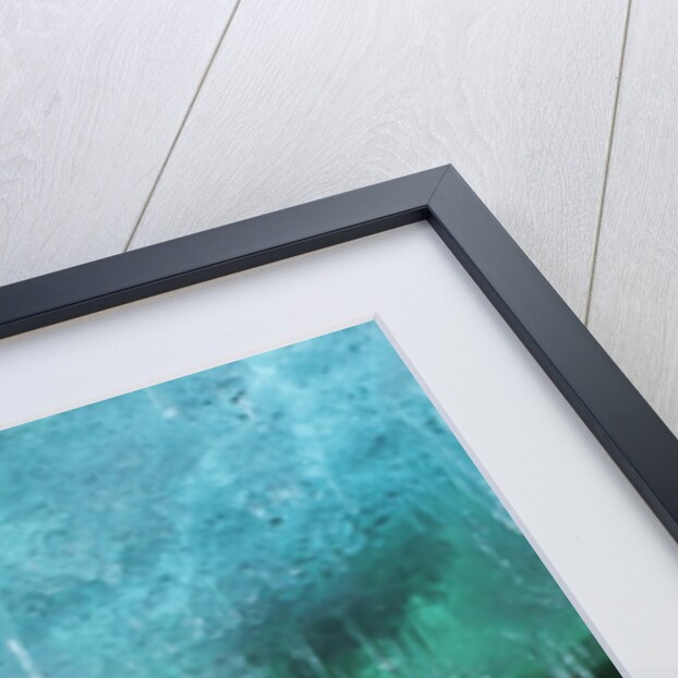 Icicles in Ice Cave, Cuverville Island, Antarctica by Anonymous
