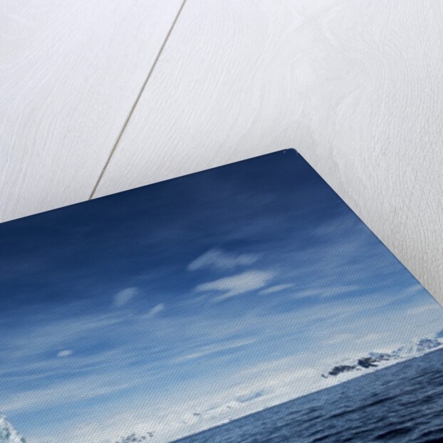 Iceberg, Gerlache Strait, Antarctica by Anonymous