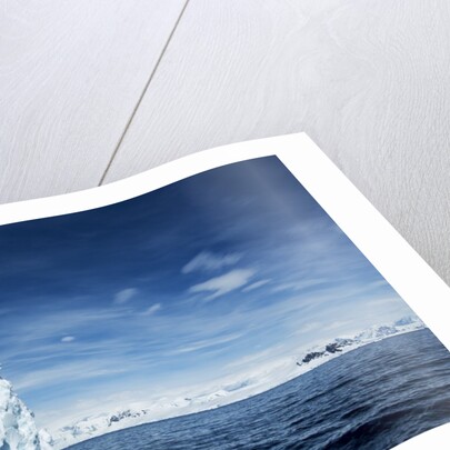 Iceberg, Gerlache Strait, Antarctica by Anonymous