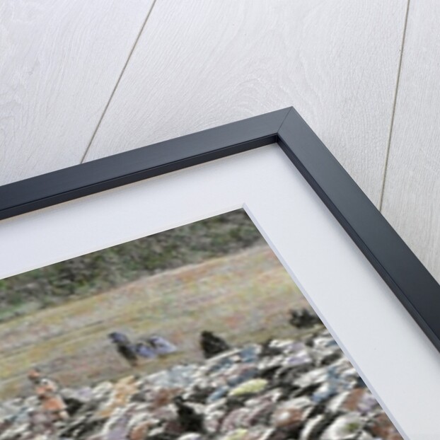 Buckre-Ede festival or Baqr-I-Id (Cow Festival). Moslems praying by Anonymous