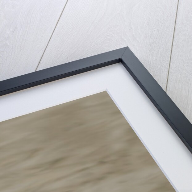 Female Lesser Scaup Duck in flight by Anonymous