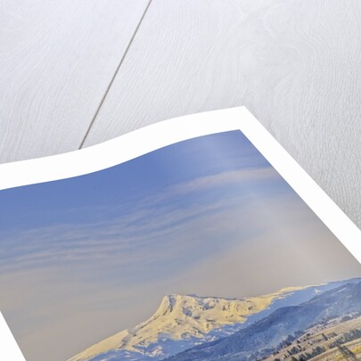 Cherry Orchards of the Oregon Columbia Gorge With Mt. Hood in the Back Drop by Anonymous