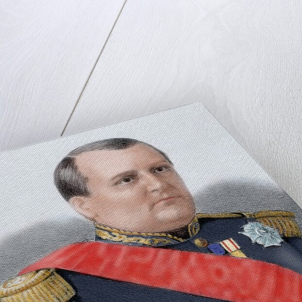Bonaparte, Eugene Louis Napoleon (1856-1879) by Anonymous