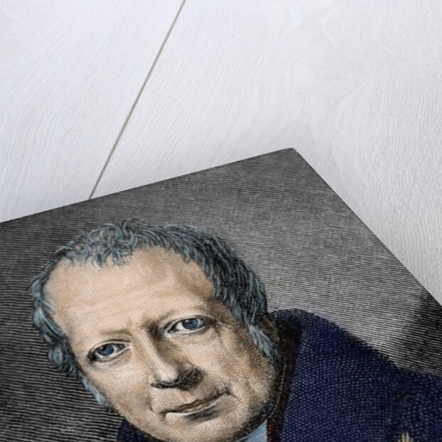 Wilhelm von Humboldt (1767-1835) by Anonymous