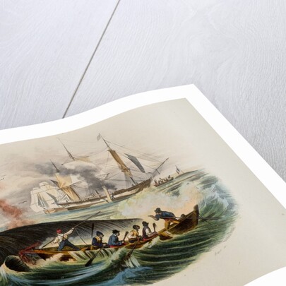 Whaling by Anonymous