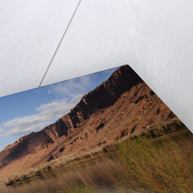 Colorado River, Utah, USA by Anonymous