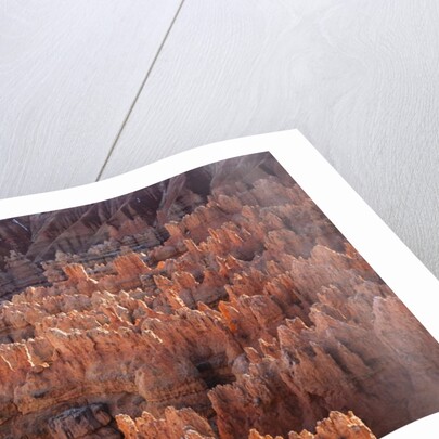 Bryce Canyon National Park, Utah. USA by Anonymous