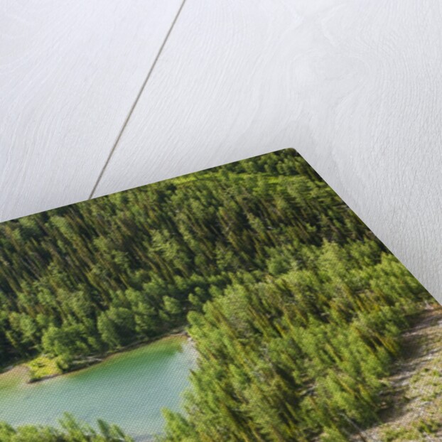 Revelstoke, Bugaboo Provincial Park, British Columbia, USA by Anonymous