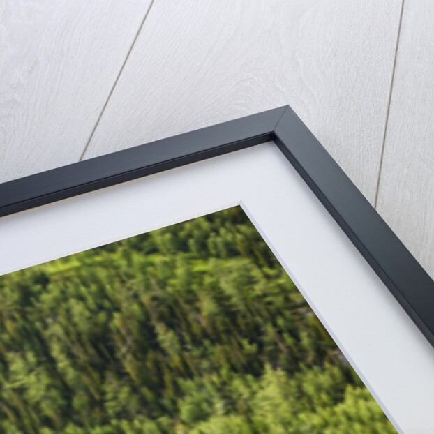 Revelstoke, Bugaboo Provincial Park, British Columbia, USA by Anonymous