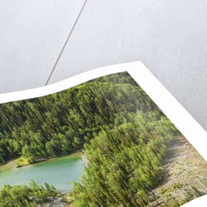 Revelstoke, Bugaboo Provincial Park, British Columbia, USA by Anonymous